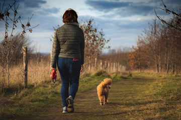 ADOPTING A PET CAN SAVE YOUR LIFE