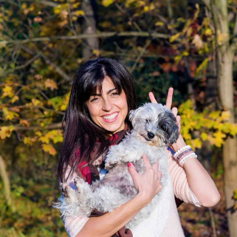 Dog and owner